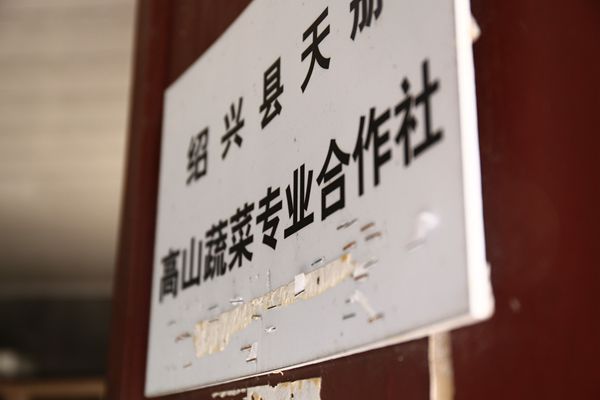 天册：一家有50亩菜地的律所