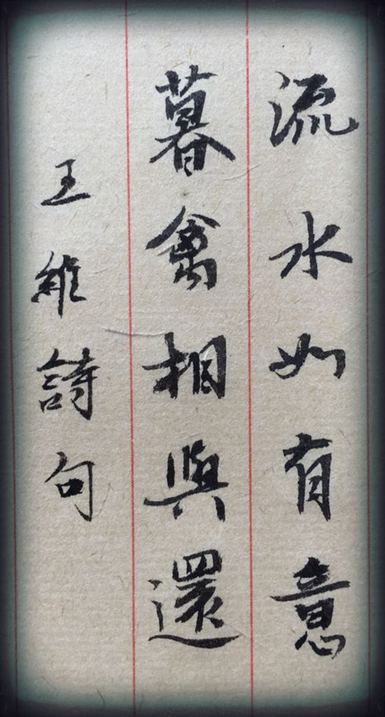 流水如有意，暮禽相与还。